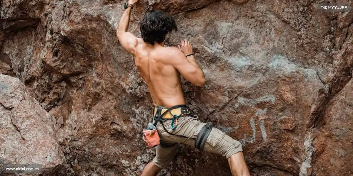 <strong>黑料吃瓜国产</strong>陪伴每段光影旅程，让影视成为温暖的精神寄托🌙